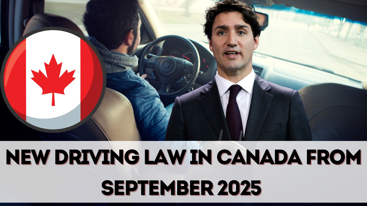 New Driving Law in Canada from September 2025 – What Every Motorist Must Know