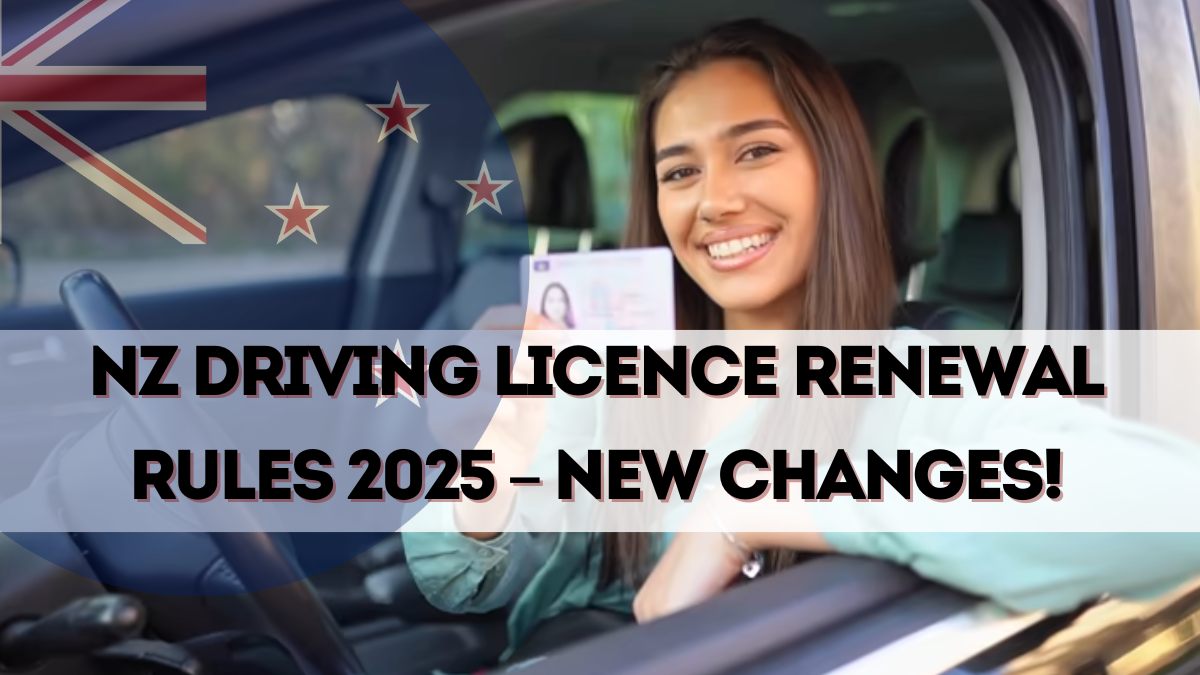 NZ Driving Licence Renewal Rules 2025 – New Changes for Seniors Over 65
