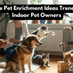 Creative Pet Enrichment Ideas Trending For Indoor Pet Owners