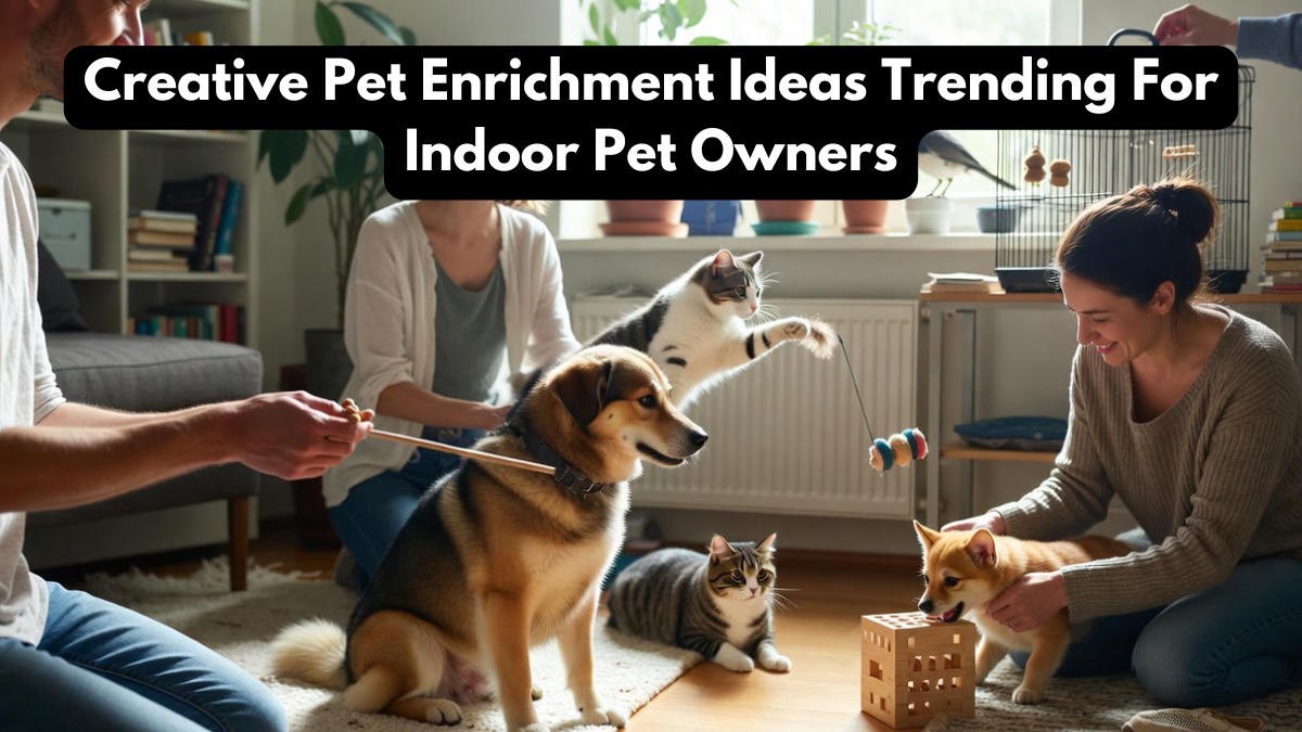 Creative Pet Enrichment Ideas Trending For Indoor Pet Owners