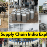 Dairy Supply Chain India Explained