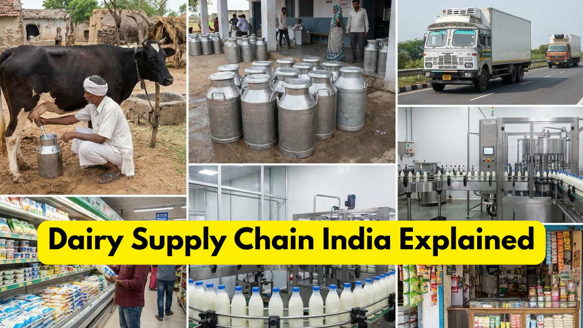 Dairy Supply Chain India Explained